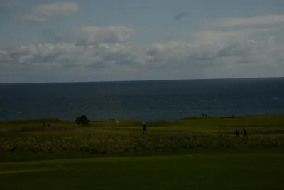 DSC_7255 (Large).JPG